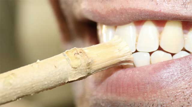Comment utiliser le Siwak pour les dents ? - Ma santé bucco-dentaire
